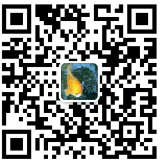 1735005700130.png